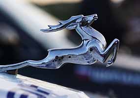 逸宝石眼动力训练